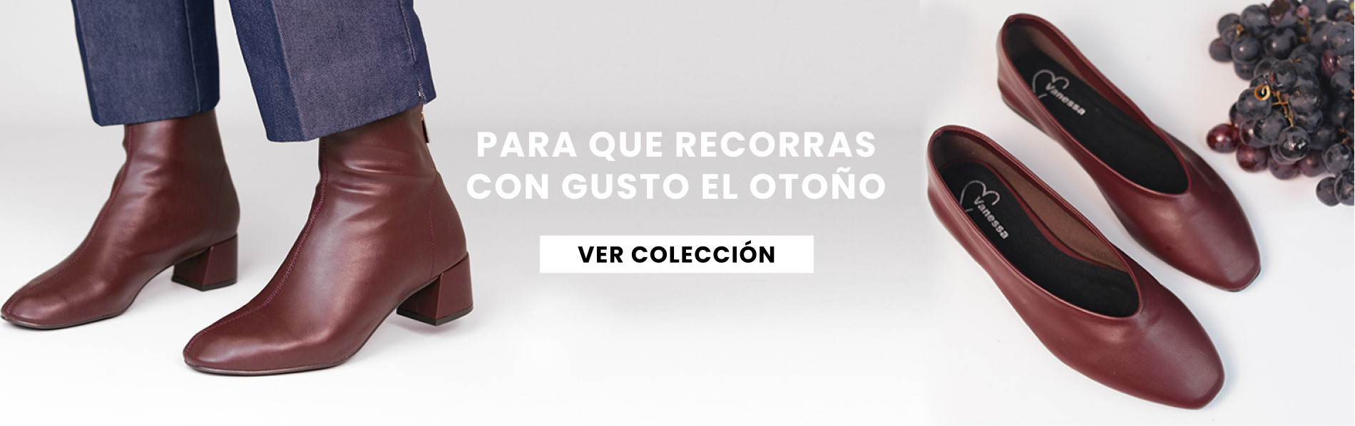 Nueva colección zapatos otoño invierno - Vanessa Calzados